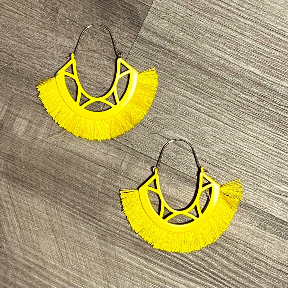 Neon Fringe Earrings